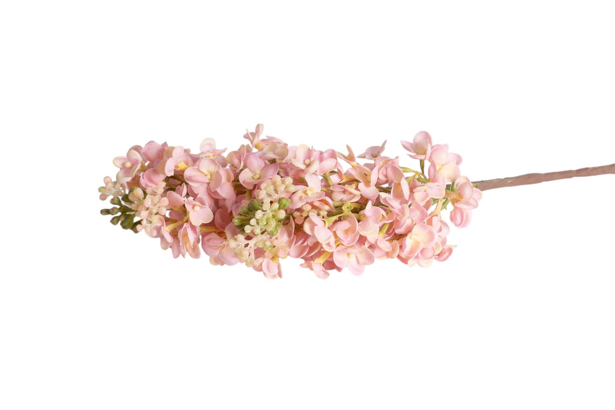 Islak Dokulu Pembe Bahar Dalı