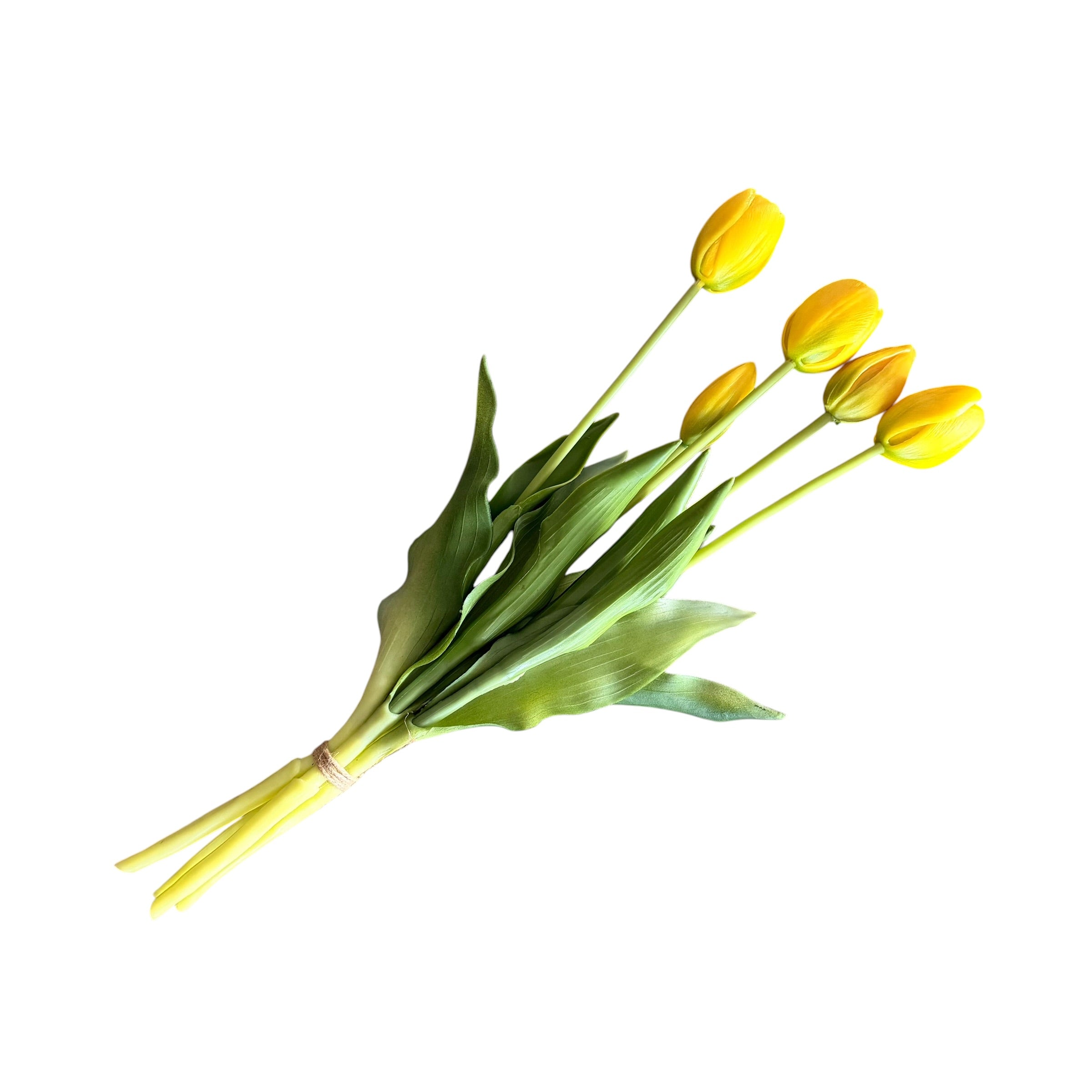 Islak Dokulu Sarı Lale Buketi