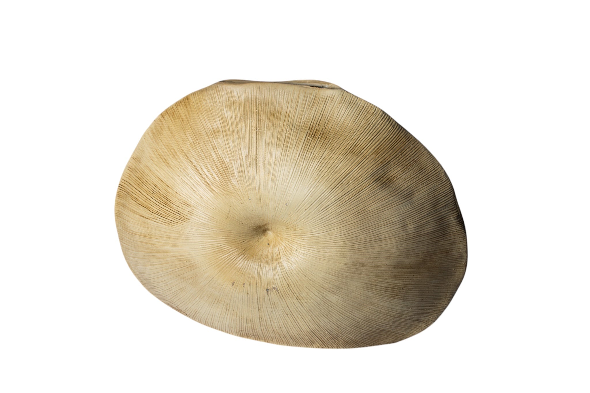 Woody Ahşap Soyut Desen Dev Göbek Vazo