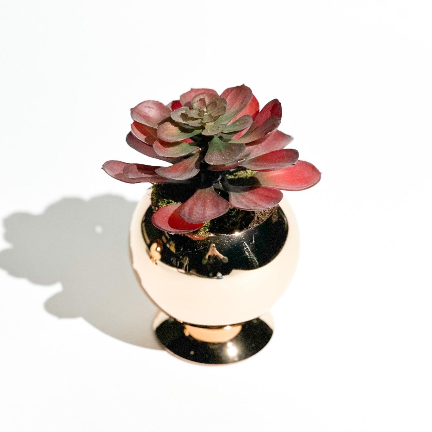 Bronz Mini Saksı Sukulent Küçük Boy