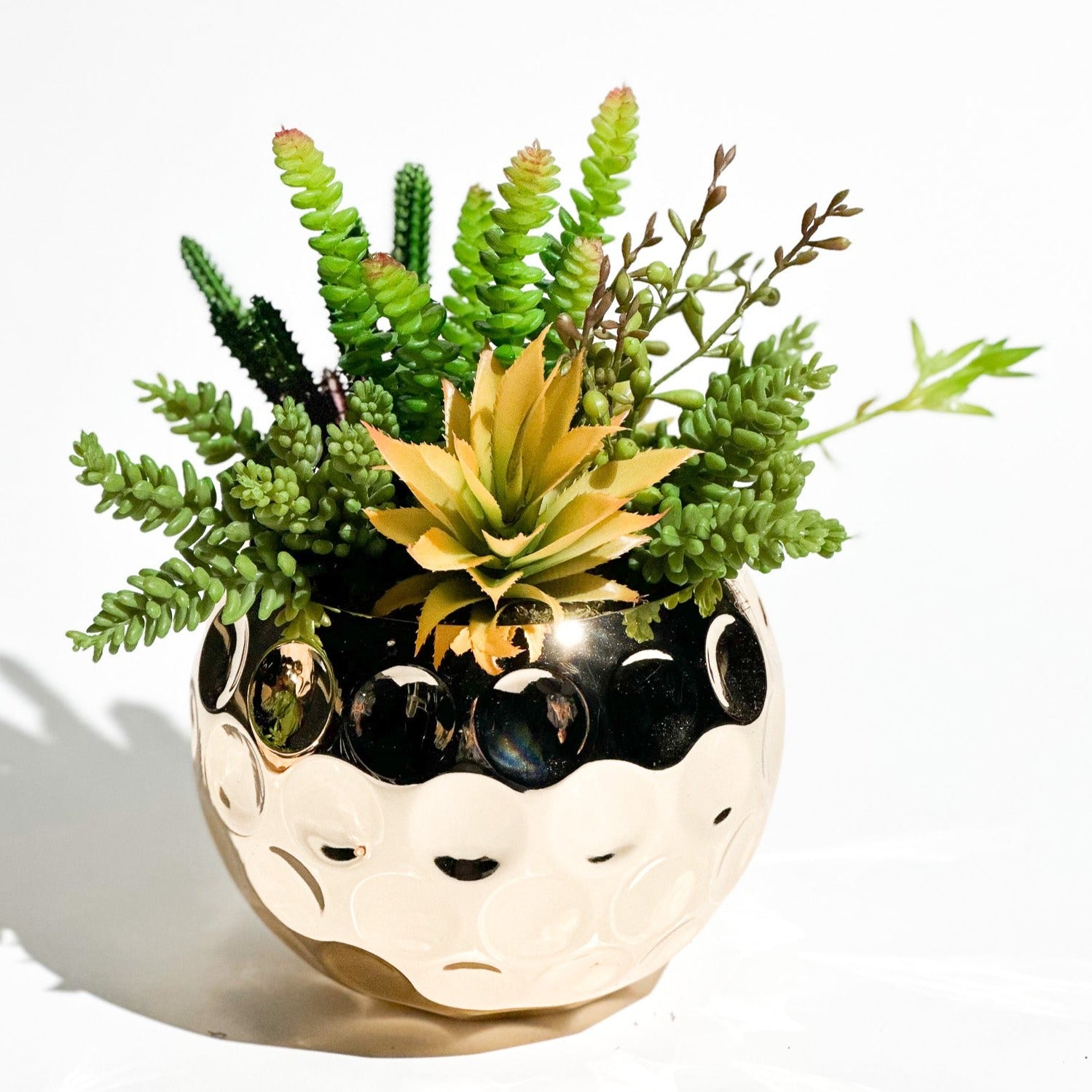 Gold Yuvarlak Saksı & Sukulent Aranjmanı Orta Boy